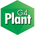 G4Plant_72.png